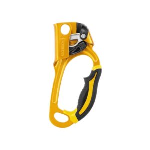 Petzl Ascension Ascender