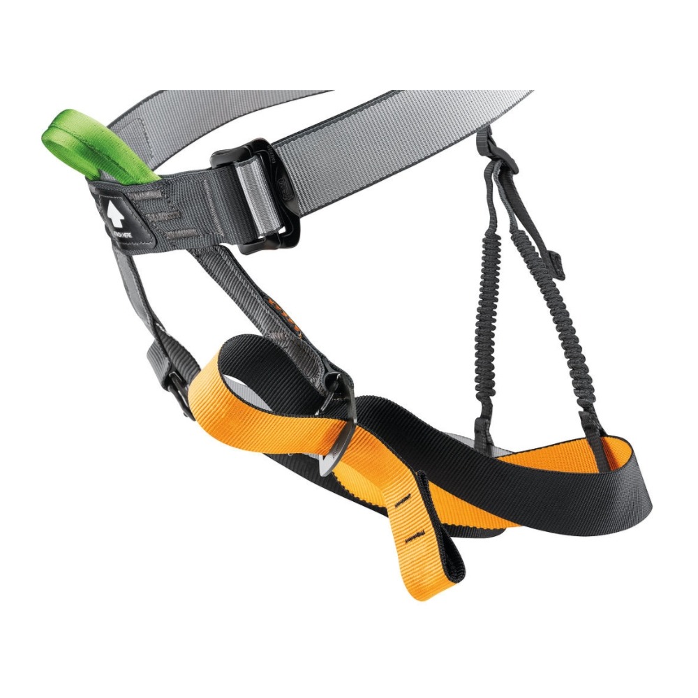Petzl Gym Harness - 3