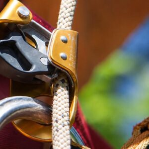 Ascenders