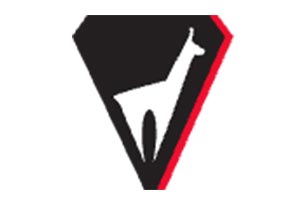 Vola Racing