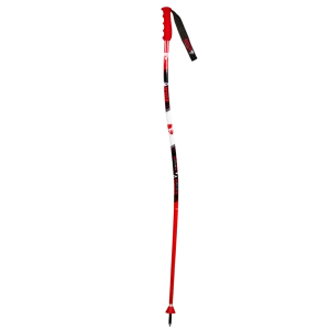 Giant Slalom Ski Poles \ Senior 125 cm