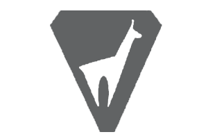 Vola Racing