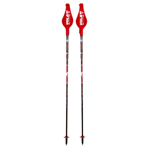 Slalom Pole Guard